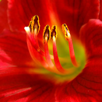 © 2013 Ian D Jones,All Rights Reserved.
